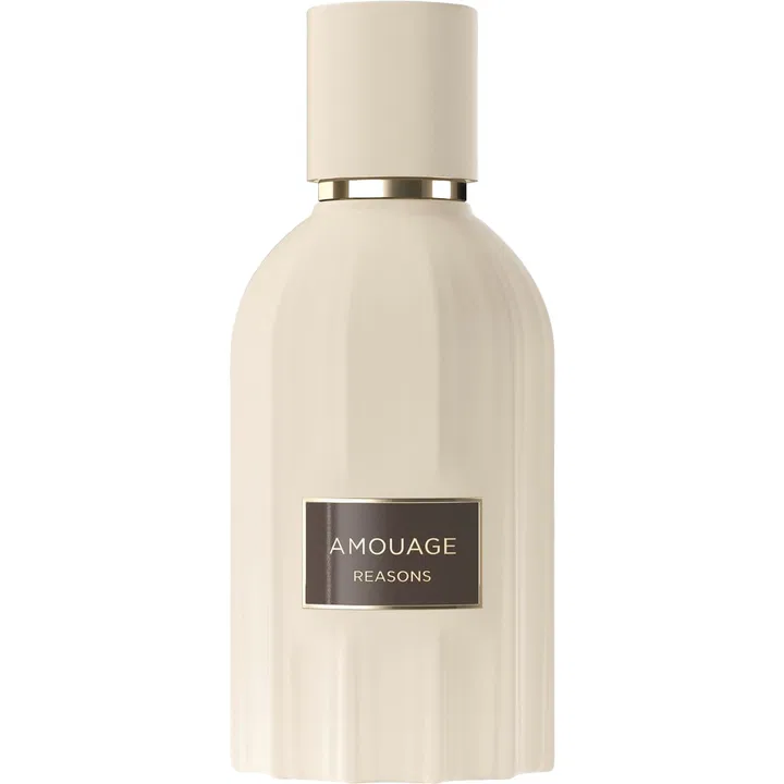 عطر ادکلن آمواج - آمواژ ریزنز / ریزن | Amouage Reasons